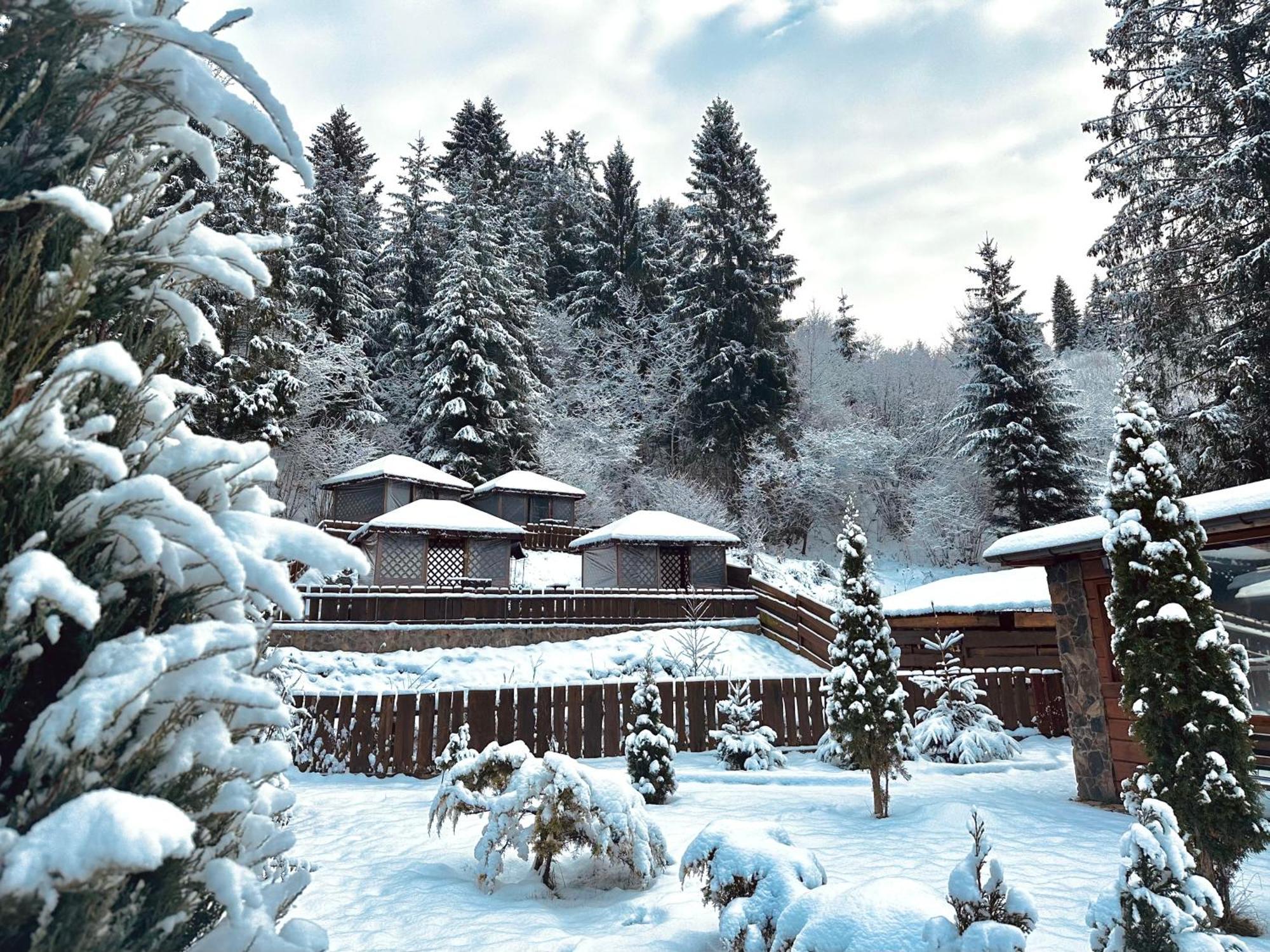 Chalet Filvarok Slavske Esterno foto